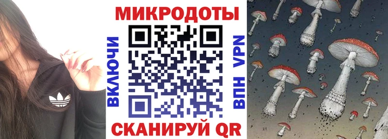 Купить закладки  Уржум  Галлюциногенные грибы Psilocybe 